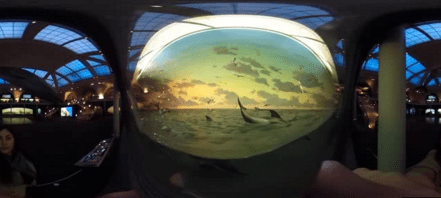 Screen Shot 2016-04-04 at 5.02.24 PM